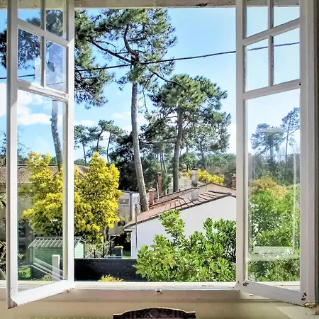 2 Bedroom Beautiful In Vakantiehuis